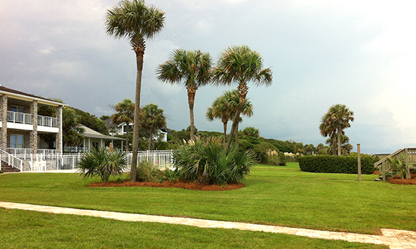 Commercial Landscaping Maintenance Myrtle Beach SC