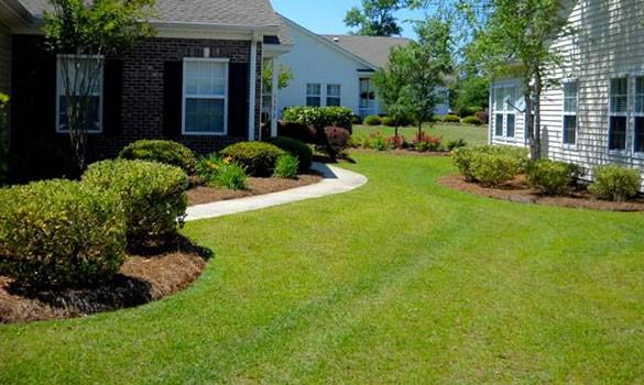 Lawn Mowing Myrtle Beach SC