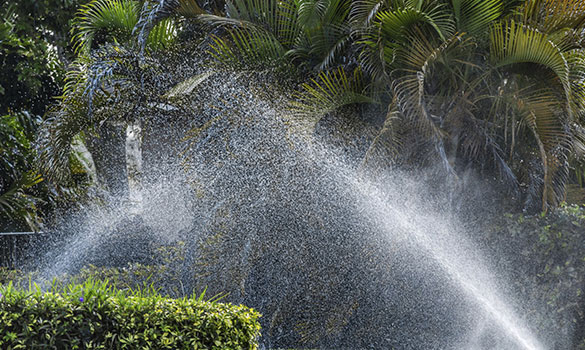 Irrigation Maintenance Litchfield Beach SC