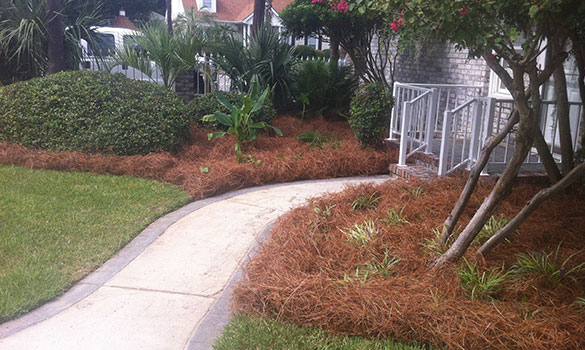 Mulch Installation Myrtle Beach SC