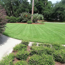 landscaping Myrtle Beach SC