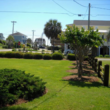 lawn fertilization myrtle beach sc