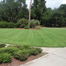 lawn care myrtle beach sc