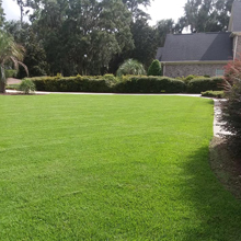 lawn mowing myrtle beach sc