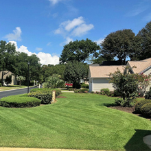 landscaping maintenance pawleys island sc