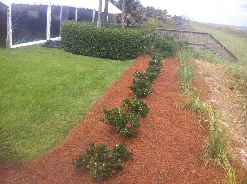 Commercial Landscaping Maintenance, Mowing Myrtle Beach SC Amazing