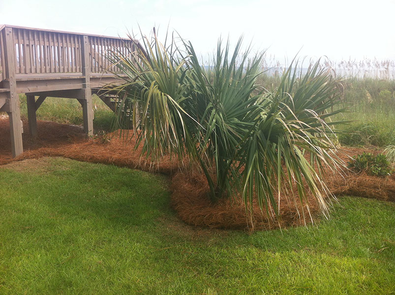 Commercial Landscaping Maintenance Murrells Inlet, Myrtle Beach SC